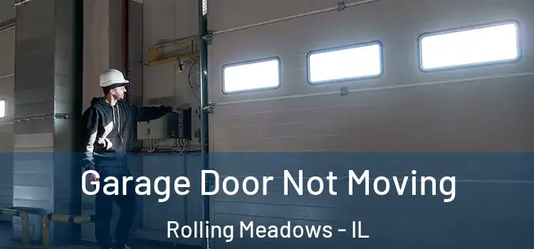  Garage Door Not Moving Rolling Meadows - IL
