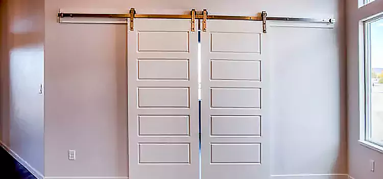 Glass Barn Door with Installation Hardware Kit Rolling Meadows