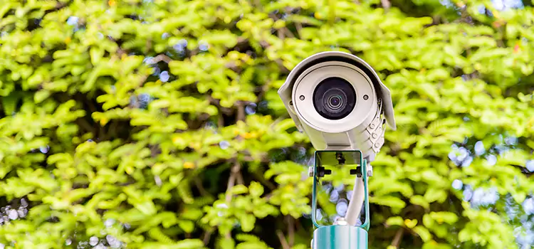 Advanced Surveillance Solutions for Every Need in Rolling Meadows