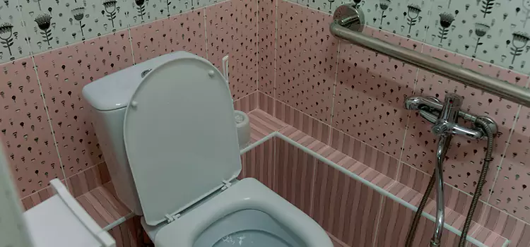 Meeting Diverse Needs With Accessible Restroom Solutions in Rolling Meadows, IL