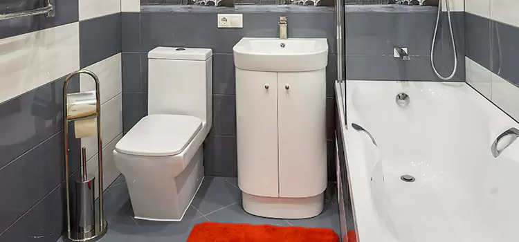 Hansgrohe Shaving Mirror Rolling Meadows